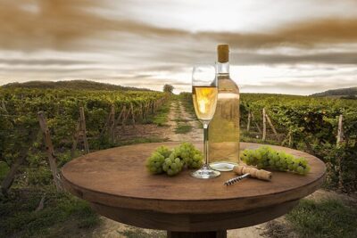 Provence Organic Wine Tasting Half Day Tour from Nice - Saint-Jeannet Winery Cellar: Organic Tasting With the Winemaker