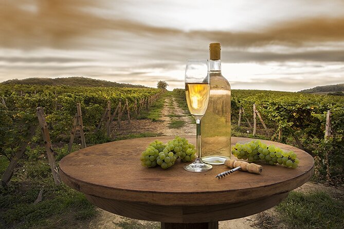 Provence Organic Wine Tasting Half Day Tour from Nice - Saint-Jeannet Winery Cellar: Organic Tasting With the Winemaker