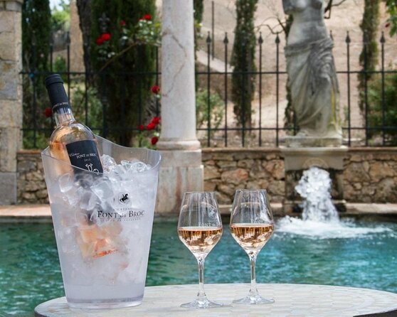 Provence Wine Tour - Private Day Tour from Nice - Quick hits you’ll care about