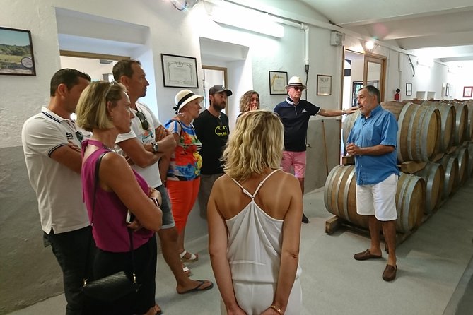 Provence Wine Tour - Private Day Tour from Nice - Château Saint-Esprit: family wines, olive-tree shade, and certified organic