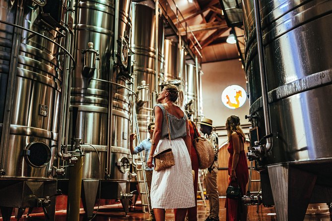 Provence Wine Tour - Private Day Tour from Nice - Who should book this Provençal wine day from Nice?