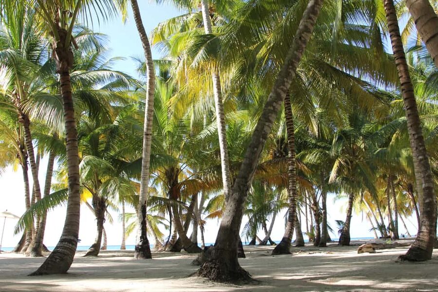 Punta Cana: Saona Island and Altos de Chavón Day Trip - La Güira Café: a short stop for snacks and shopping