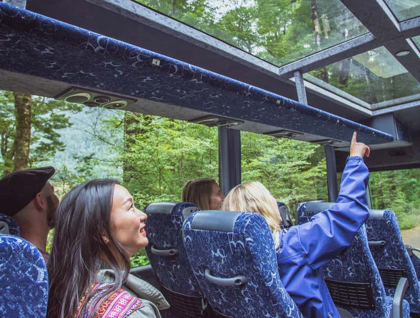 Queenstown: Milford Sound Coach & Cruise Full-Day Trip - Quick hits: what makes this Milford Sound day trip work