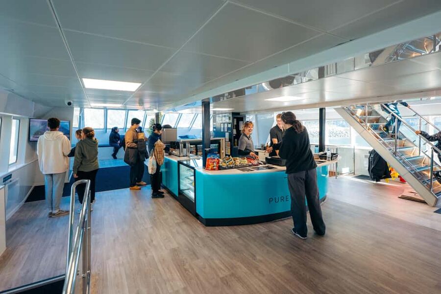 Queenstown: Milford Sound Coach & Cruise Full-Day Trip - What you’ll see on the water: rainforests, waterfalls, and wildlife odds