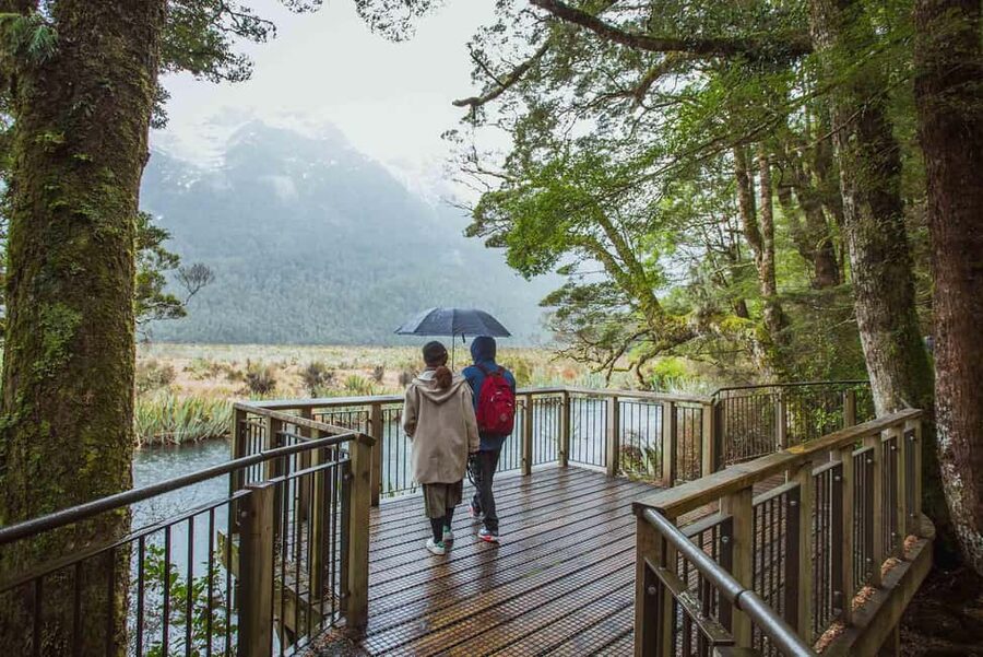 Queenstown: Milford Sound Coach & Cruise Full-Day Trip - Value check: does $144 feel fair for a full 12-hour day?