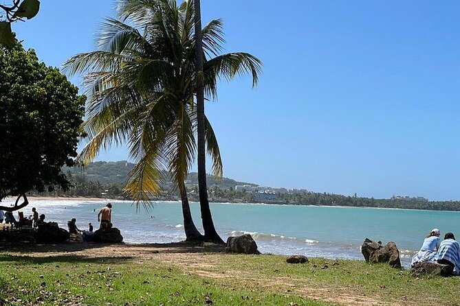 Rainforest Zipline, Luquillo Beach, and Natural Springs Day Trip - Why guides make the difference: the names you’ll hear most often