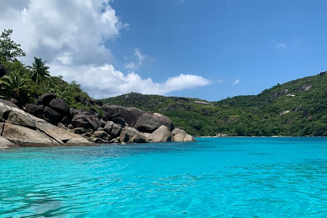 Reef Safari - Snorkeling, Fish Feeding & Lunch (Shared Day Trip) - Key highlights worth your attention