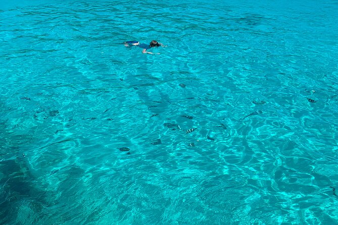 Reef Safari - Snorkeling, Fish Feeding & Lunch (Shared Day Trip) - St. Anne Marine National Park: why this itinerary works