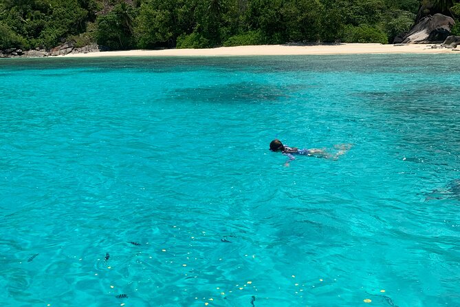 Reef Safari - Snorkeling, Fish Feeding & Lunch (Shared Day Trip) - The Eden Island cruise moment on the west coast
