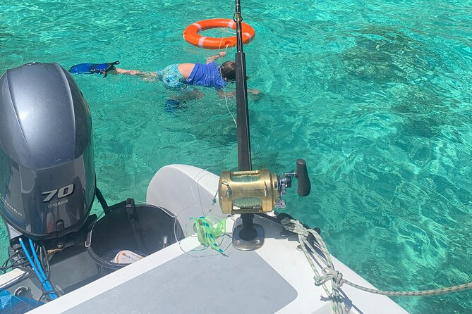 Reef Safari - Snorkeling, Fish Feeding & Lunch (Shared Day Trip) - Moyenne Island: giant tortoises plus a short hike (not a marathon)