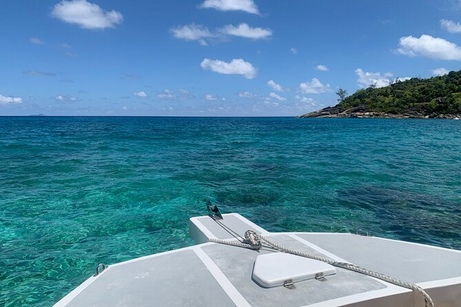 Reef Safari - Snorkeling, Fish Feeding & Lunch (Shared Day Trip) - St. Anne Marine National Park: snorkeling optional, fish feeding included