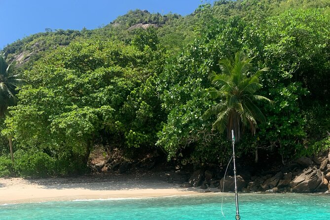 Reef Safari - Snorkeling, Fish Feeding & Lunch (Shared Day Trip) - Boat comfort and real-world pacing: what to expect