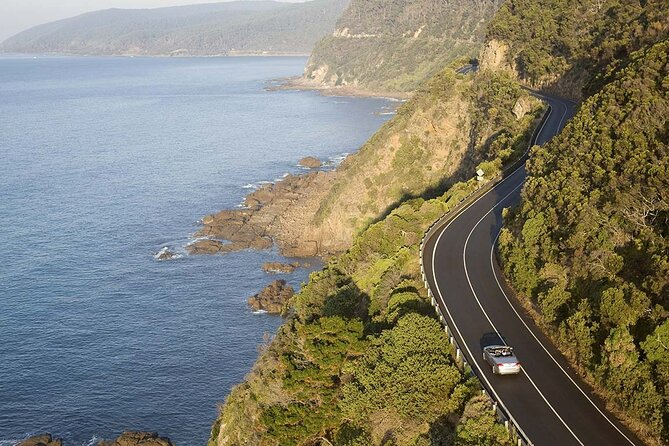 Reimagined Great Ocean Road 1-Day Tour from Melbourne - Price and Value: What $71.01 Buys You (And What It Doesn’t)