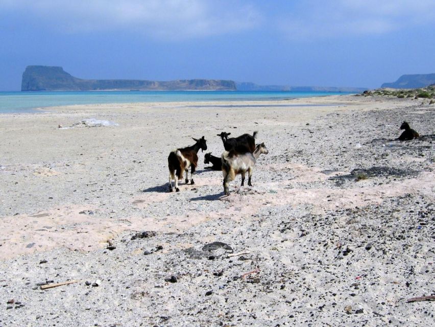 Rethymno: Gramvousa & Balos Lagoon Day Trip with Boat Ticket - Kissamos Port: The Part Where Timing and Cash Matter