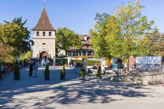 Rhine Falls and Stein am Rhein Half-Day Tour from Zurich - Rhine Falls with Castle Laufen: the viewing plan that makes the water hit harder
