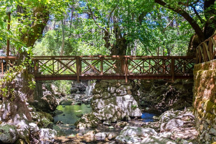 Rhodes: Butterfly Valley and Seven Springs Valley Day Trip - Who This Trip Suits Best (and Who Should Skip It)