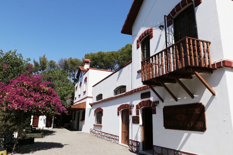 Rhodes: Butterfly Valley and Seven Springs Valley Day Trip - Should You Book This Rhodes Nature Day Trip?