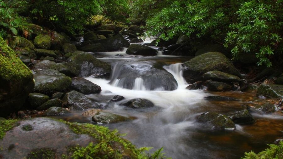 Ring of Kerry Full-Day Tour from Limerick - Waterville and Skellig Rocks: early Christian history meets famous visitors