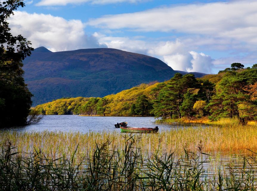 Ring of Kerry Full-Day Tour from Limerick - Torc Waterfall in Friars Glenn: 18 meters of motivation for your legs