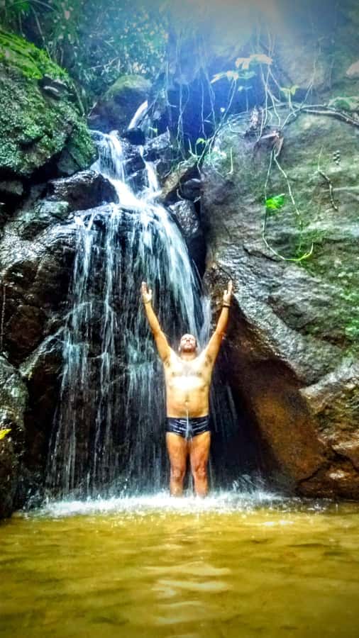 Rio de Janeiro: Tijuca Forest Challenge Hike Full-Day Trip - The fitness reality check: 848 m climb over 10.4 km