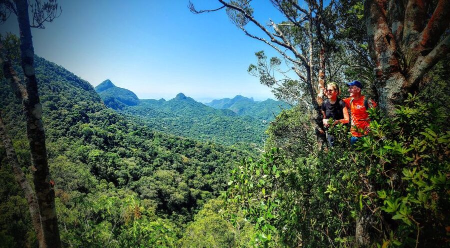 Rio de Janeiro: Tijuca Forest Challenge Hike Full-Day Trip - The Tijuca Forest rhythm: guided stops that keep you oriented