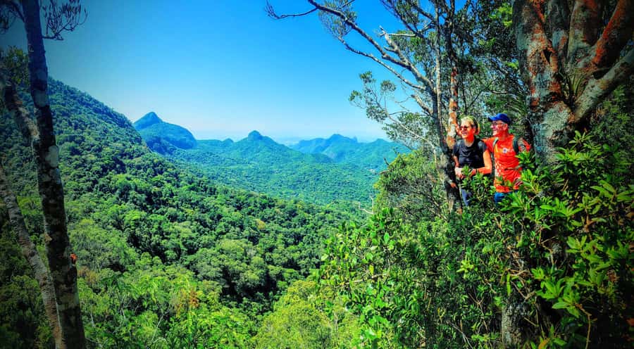 Rio de Janeiro: Tijuca Forest Challenge Hike Full-Day Trip - Up toward Taquara Hill: views that reward the climb