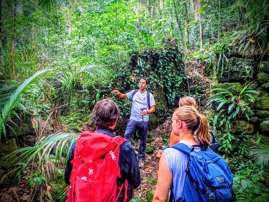 Rio de Janeiro: Tijuca Forest Challenge Hike Full-Day Trip - The coffee farm ruins and the almost-secret trail feeling