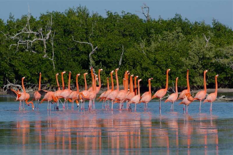 Riviera Maya: Rio Lagartos & Las Coloradas Day Trip w/Lunch - Las Coloradas Pink Salt Lakes: Salt Deposits and Weather That Changes Everything