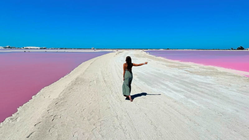 Riviera Maya: Rio Lagartos & Las Coloradas Day Trip w/Lunch - Wildlife Sightings and Crocodiles: How to Make This Segment Work for You
