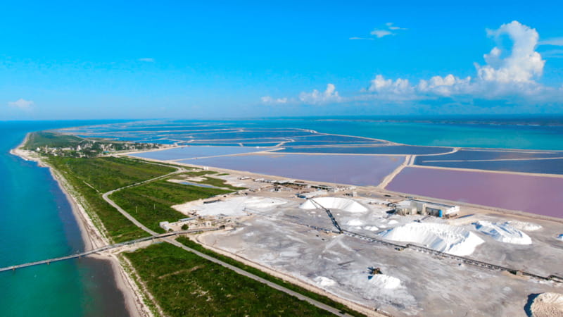 Riviera Maya: Rio Lagartos & Las Coloradas Day Trip w/Lunch - Price and the Extra Fees You Must Budget for