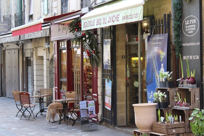 Roman Sites and Historical Places Day Trip from Avignon - Who should book this Roman Sites day trip from Avignon?