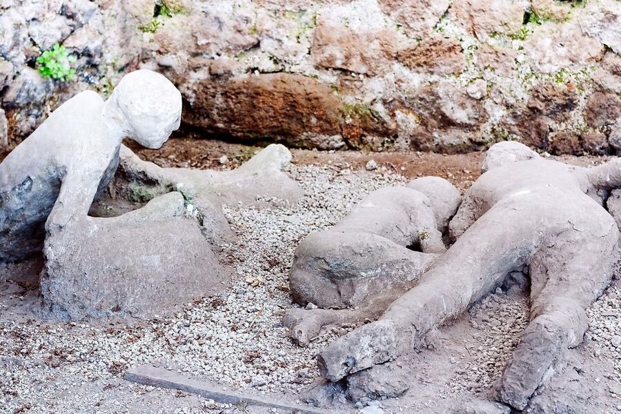 Rome: Pompeii and Naples Day Trip with Pompeii Entry Ticket - Should You Book This Rome to Pompeii and Naples Day Trip?