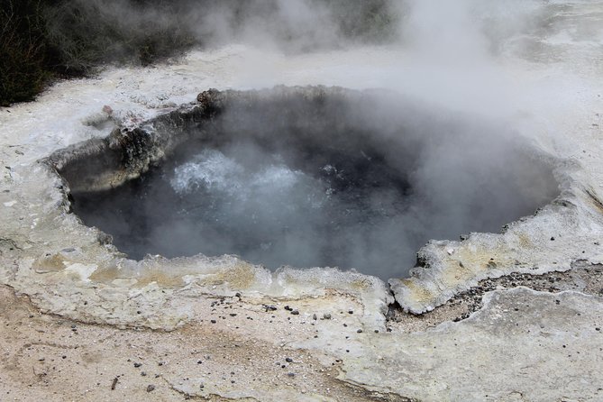 Rotorua and Waitomo Caves Day Trip from Auckland -Smaller Groups - Who should book this day trip from Auckland