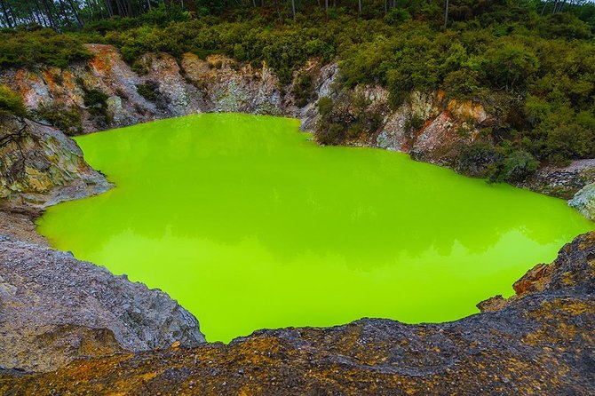 Rotorua Highlights inc. Waiotapu & Te Puia Day Tour from Auckland - Guides, Group Size, and the Bus Reality Check