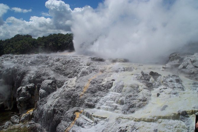 Rotorua Small-Group Day Tour from Auckland - Key points to know before you go