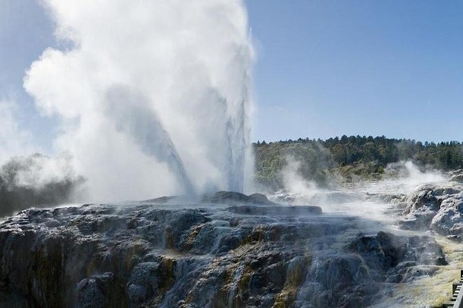 Rotorua Small-Group Day Tour from Auckland - One day from Auckland: the long ride and why it works