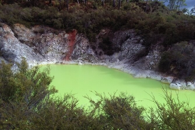 Rotorua Small-Group Day Tour from Auckland - Waiotapu, Redwoods Treewalk, Polynesian Spa, or a Māori concert: choose your afternoon wisely