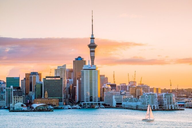 Rotorua Small-Group Day Tour from Auckland - Price and logistics: what $253.81 buys you in real value