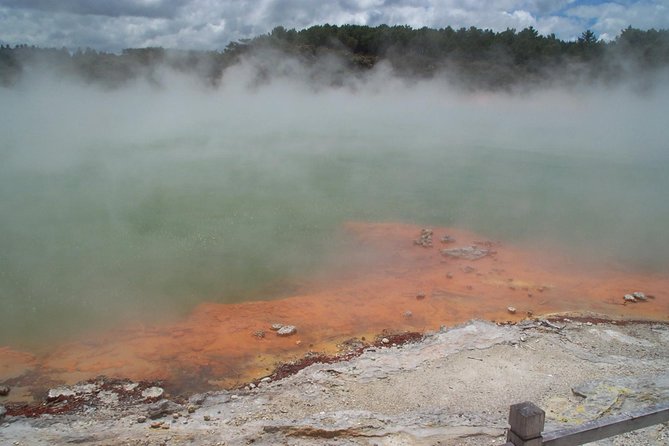 Rotorua Small-Group Day Tour from Auckland - Lake Rotorua and quick Rotorua orientation: short stops, real context