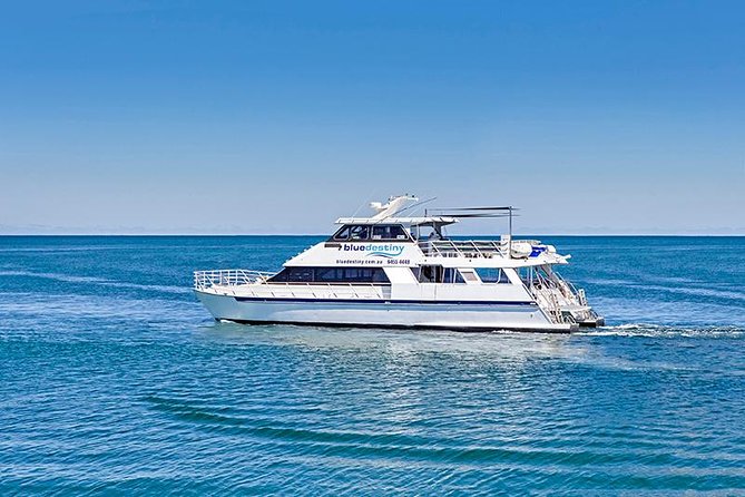 Rottnest Island Boat Dive Day Trip including Lunch - Key things that make this day trip worth your time