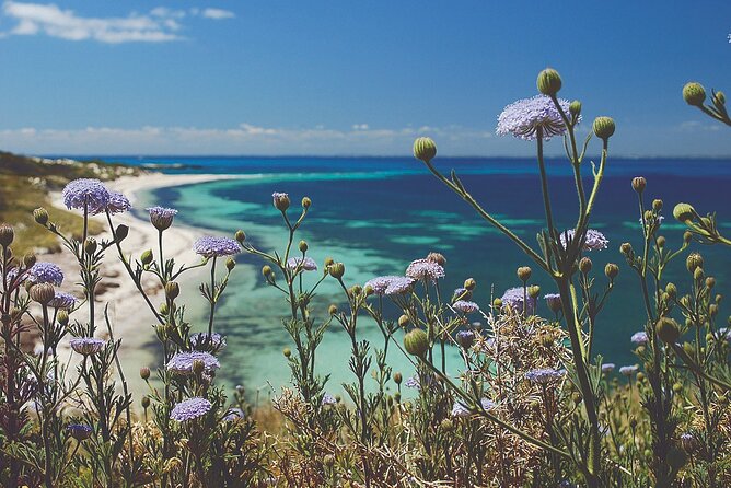 Rottnest Island Full-Day Trip With Guided Island Tour From Perth - Quick hits you’ll care about