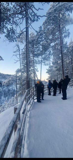 Rovaniemi: Korouoma Frozen Waterfalls Hike & Hot BBQ Lunch - Why Korouoma Canyon’s winter ice is the main event
