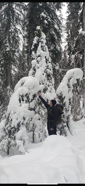 Rovaniemi: Korouoma Frozen Waterfalls Hike & Hot BBQ Lunch - Getting there from Rovaniemi without eating up your whole day