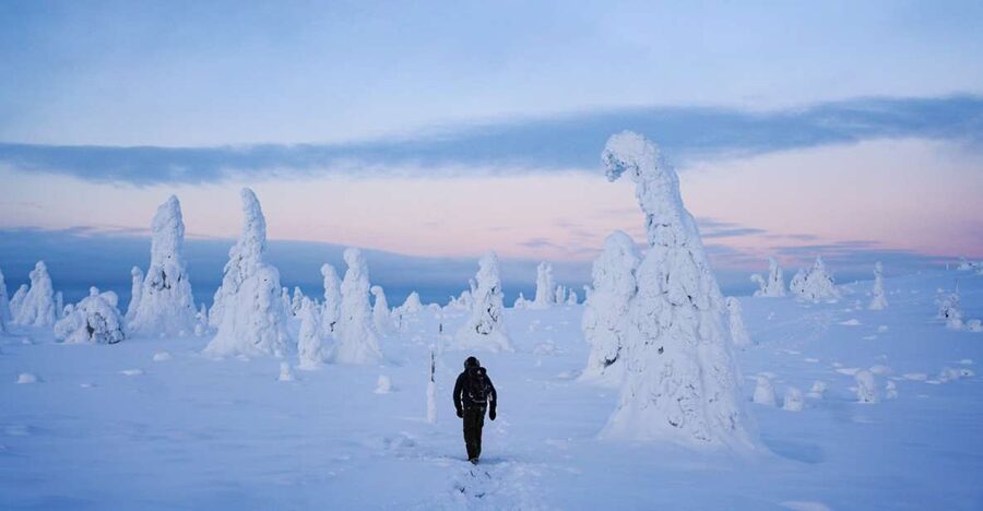 Rovaniemi: Riisitunturi National Park Day Trip with Lunch - Key highlights you’ll feel right away