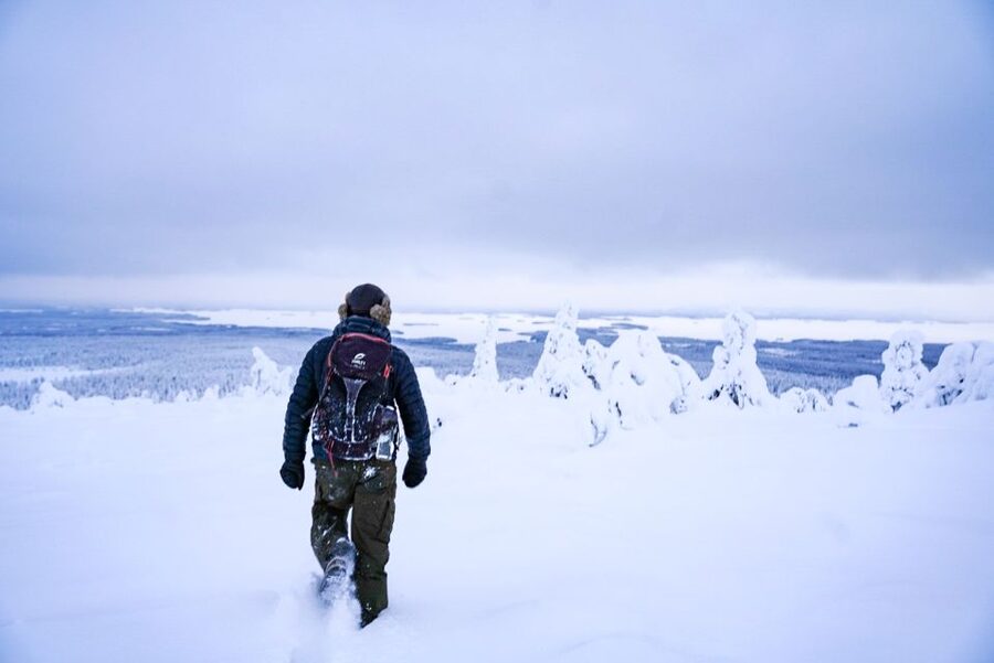 Rovaniemi: Riisitunturi National Park Day Trip with Lunch - The 4-kilometer winter walk (with possible snowshoes)