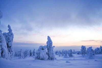 Rovaniemi: Riisitunturi National Park Day Trip with Lunch - The 2-hour drive out of Rovaniemi: calm time in the Arctic
