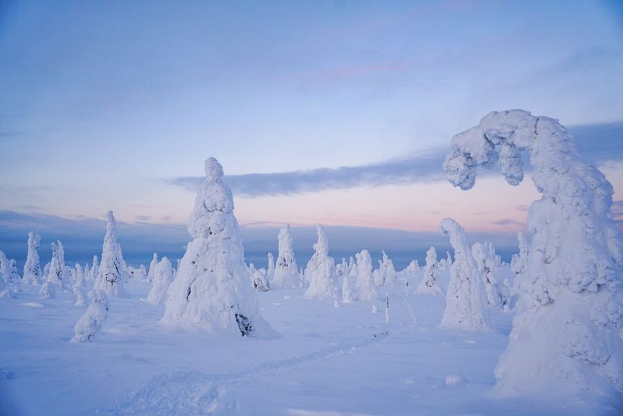 Rovaniemi: Riisitunturi National Park Day Trip with Lunch - Gear and cold-weather reality: what you get, what you must bring