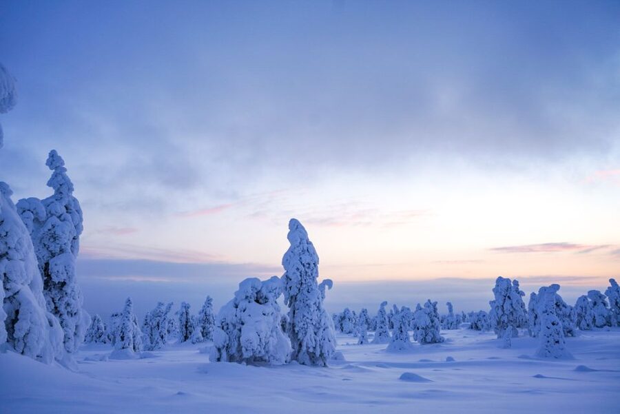 Rovaniemi: Riisitunturi National Park Day Trip with Lunch - The 2-hour drive out of Rovaniemi: calm time in the Arctic