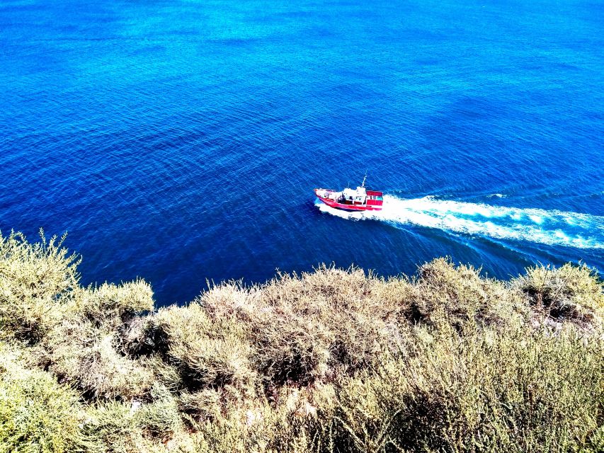 Sagres & Cape St. Vincent Half-Day Tour from Lagos - Price and Value: Does $69 Actually Make Sense?