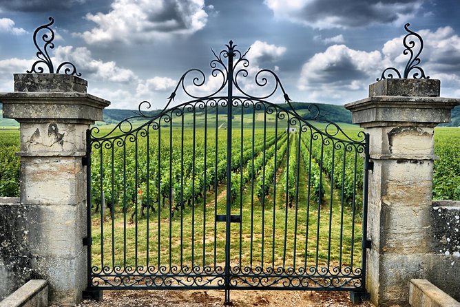 Saint Emilion Day Trip with Sightseeing Tour & Wine Tastings from Bordeaux - Pomerol’s grand cru stop: more wine, plus cellar and vat-house time